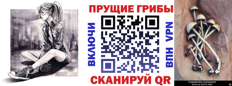 Галлюциногенные грибы мицелий  дарнет шоп  Ува 